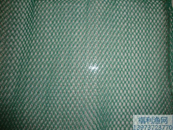 青蛙防逃网